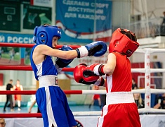 Чемпионат и первенство Амурской области по боксу стартовали в Благовещенске