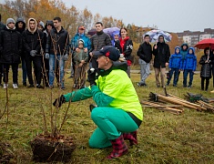 Аллею из сирени в 1,5 километра высадили в отдаленном районе Благовещенска