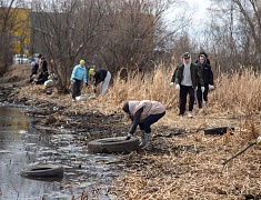 Мэр Благовещенска Олег Имамеев вместе с фан-клубом города очистил еще одну городскую территорию
