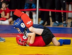 В Благовещенске прошёл открытый кубок города по спортивной борьбе на призы спортивно-патриотического клуба «Машина»