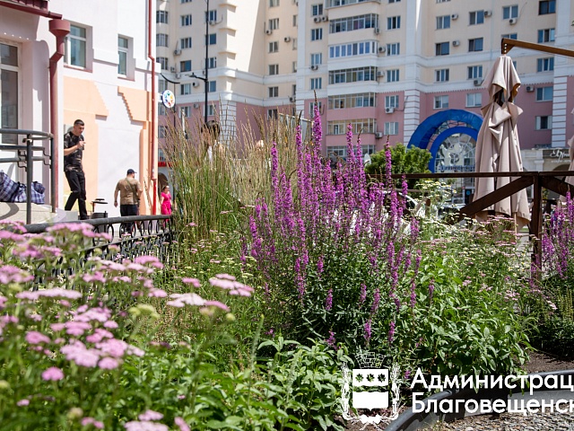 Не ждут, пока сделает кто-то другой: благовещенские предприниматели своими руками создают в городе цветущие уголки
