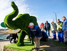 В Благовещенске появился новый арт-объект