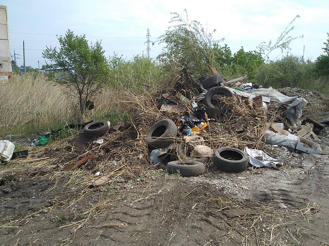 Почти полсотни несанкционированных свалок выявили в областном центре в этом году 