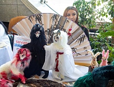 В Благовещенске впервые прошел Бал кукол