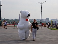 В Благовещенске подвели итоги конкурса по присуждению премии мэра «14-35»