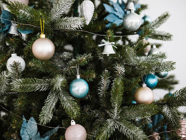 В Благовещенске открыли продажу новогодних елок по 14 адресам. Где торгуют хвойными деревьями? 