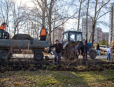 К общегородскому субботнику присоединились работники администрации Благовещенска