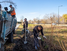 К общегородскому субботнику присоединились работники администрации Благовещенска