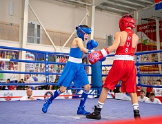 В спорткомплексе «Юность» стартовали соревнования по боксу среди юношей 13-14 лет