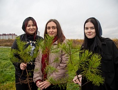 Аллею из сирени в 1,5 километра высадили в отдаленном районе Благовещенска