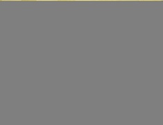 В Благовещенске прошло открытие муниципального этапа конкурса «Педагог года 2025»