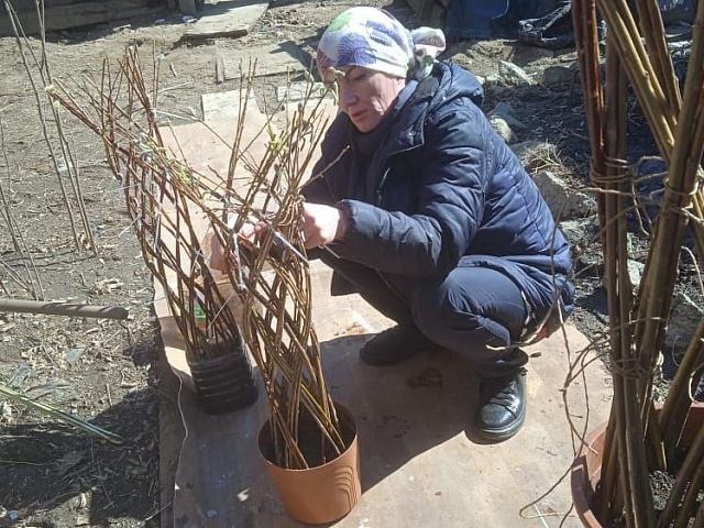 «И на Марсе будут яблони цвести», - уверены участники городского фестиваля цветов