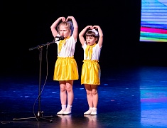 В Благовещенске прошел благотворительный концерт