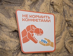 Первый интерактивный Динопарк на границе с Китаем открыли в Благовещенске
