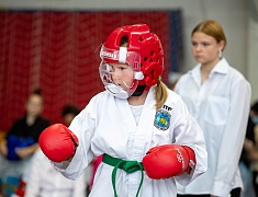 В Благовещенске состоялось открытие Чемпионата по Тхэквандо