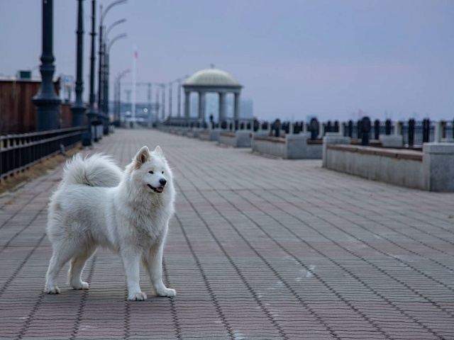 Прогноз погоды в Благовещенске на 15 апреля: 