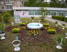 Фестиваль цветов «Город в цвете»