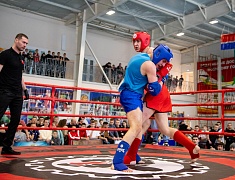 В Благовещенске прошел Открытый кубок города по муайтай памяти Сергея Афанасьева