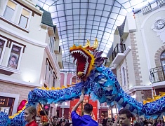 В Благовещенске встретили китайский Новый год