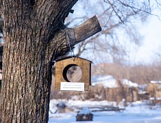 Юные благовещенцы смастерили кормушки для птиц 