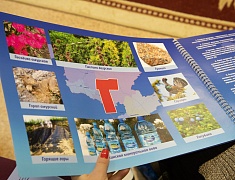 Благовещенские воспитатели поделились опытом с коллегами из Южно-Сахалинска