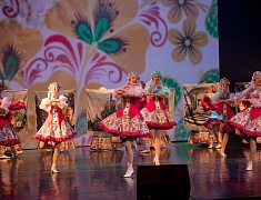 В День народного единства в Благовещенске прошел праздничный концерт