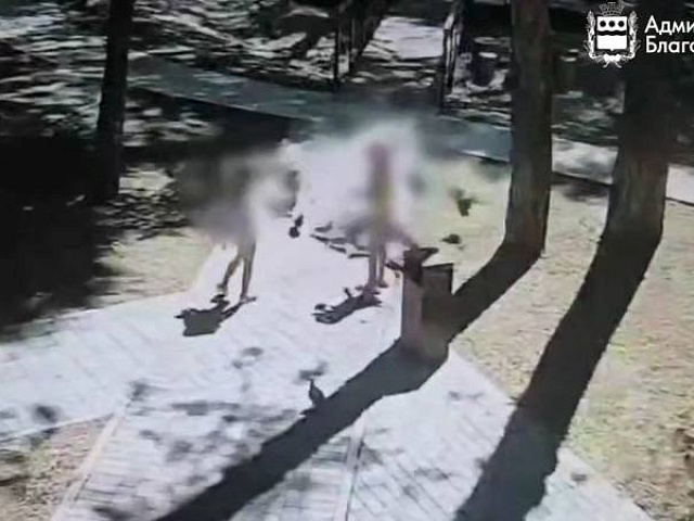 Невинная привычка с серьёзными последствиями: чем опасно кормление голубей в Благовещенске?