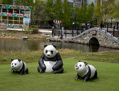 Российско-китайские обмены семьями