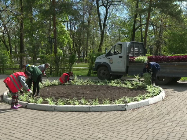 Благовещенск преображается в преддверии летнего сезона: в городе начали высаживать цветы