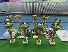 В Благовещенске прошла Спартакиада пожилых людей