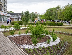 Фестиваль цветов «Город в цвете»