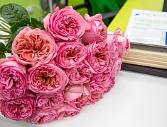 В Благовещенске открылась пятая модельная библиотека