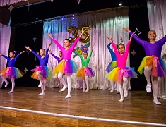 Совет ветеранов Благовещенска отметил 35-летний юбилей