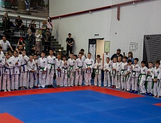 Почти три сотни спортсменов собрал турнир по тхэквондо в Благовещенске