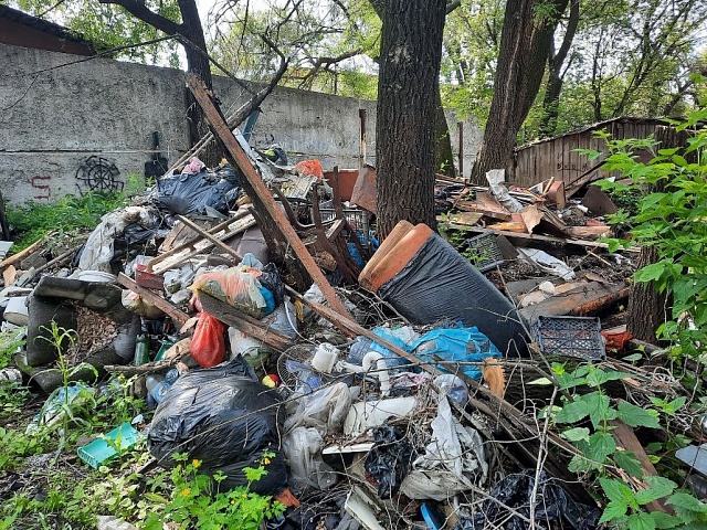 Сотню несанкционированных свалок выявили в амурской столице в прошлом году