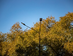 Мэр Благовещенска Олег Имамеев в рамках выездного совещания проконтролировал ход работ на улице Горького