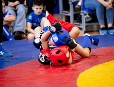 В Благовещенске прошёл открытый кубок города по спортивной борьбе