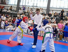 Почти три сотни спортсменов собрал турнир по тхэквондо в Благовещенске