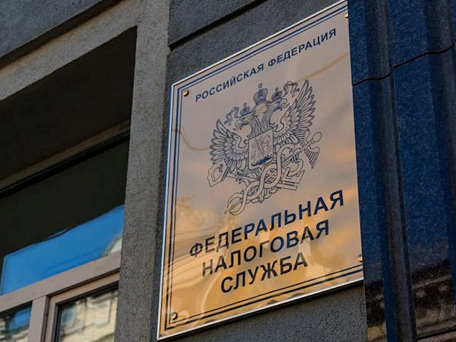 Больше тысячи амурских предпринимателей не полностью отразили сведения о выплатах в налоговой отчетности 