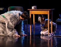 Гала-фестиваль "Когда мы вместе, мы сильнее"