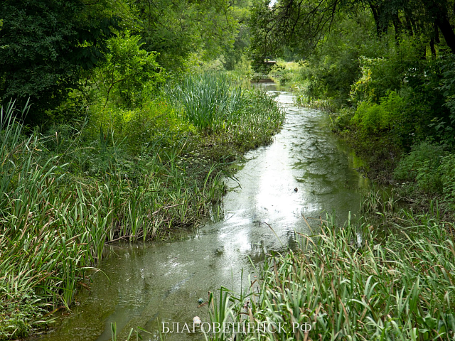 В Благовещенске на акции «Город берегу» очистят Бурхановку