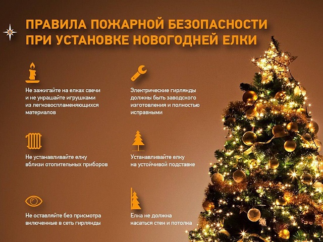 Управление по делам ГОЧС Благовещенска напоминает, как правильно выбрать и украсить главный символ праздника