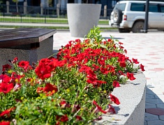 Мэр Благовещенска Олег Имамеев оценил готовность новой набережной Зеи к открытию