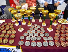 Почти три сотни спортсменов собрал турнир по тхэквондо в Благовещенске