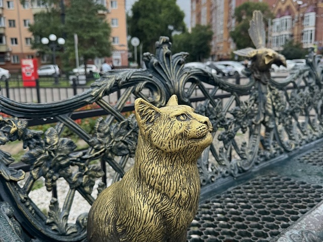 Прогноз погоды в Благовещенске на 23 июля: 