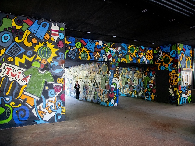 В Благовещенске предприниматель украсил проход во двор с помощью уличного искусства