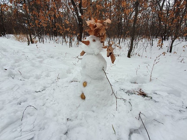 Благовещенских школьников приглашают поучаствовать в конкурсе снежных скульптур
