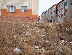 Мэр Благовещенска Олег Имамеев вместе с фан-клубом города очистил еще одну городскую территорию