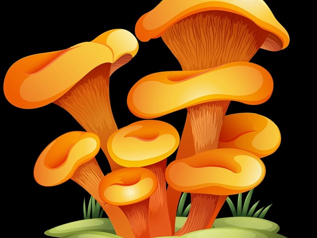 Динозавр из травы и грибы: участник фестиваля "Город в цвете" раскрыл идеи новых фигур