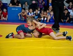 Памятный турнир по вольной борьбе в Благовещенске объединил спортсменов из семи регионов Дальнего Востока